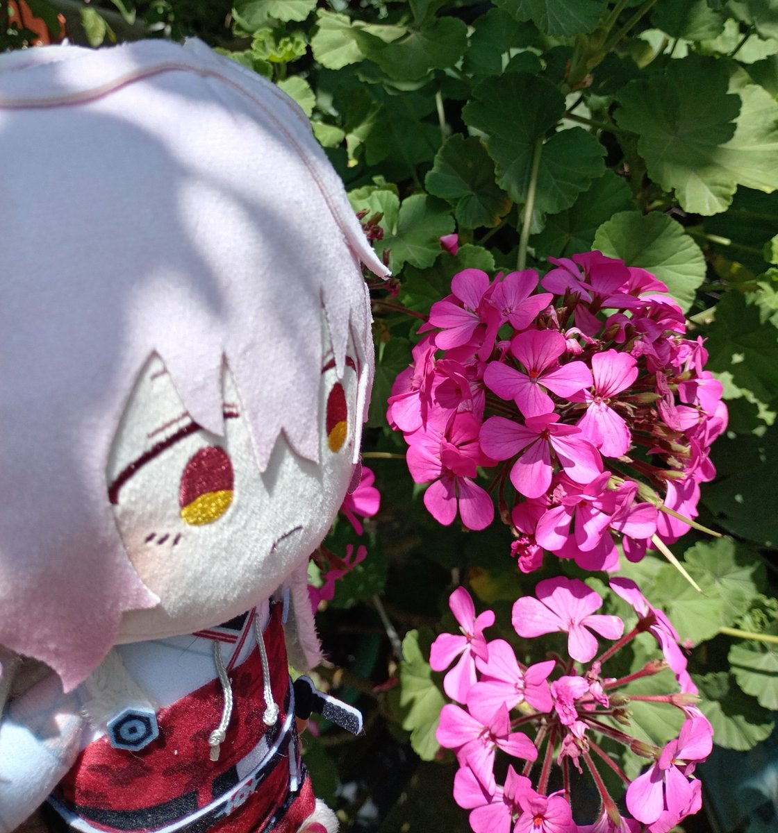 DesertRose1920's tweet photo. 泛塵 🌺🌷🌸 https://t.co/md2h0ZQgOk