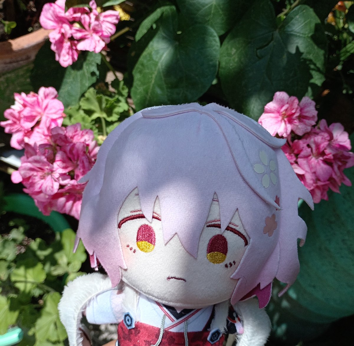 DesertRose1920's tweet photo. 泛塵 🌺🌷🌸 https://t.co/md2h0ZQgOk