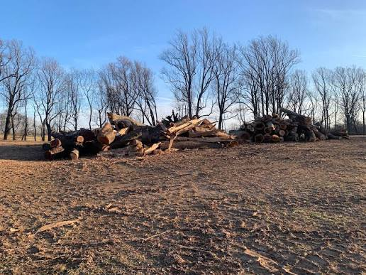 RepJackKimble's tweet photo. George Washington chopped down one cherry tree and became a hero.  President Trump chopped down 30 of them to build his golf course, but you won't hear the left give him any credit for it. Hypocritical much? https://t.co/SVvQa9C89v