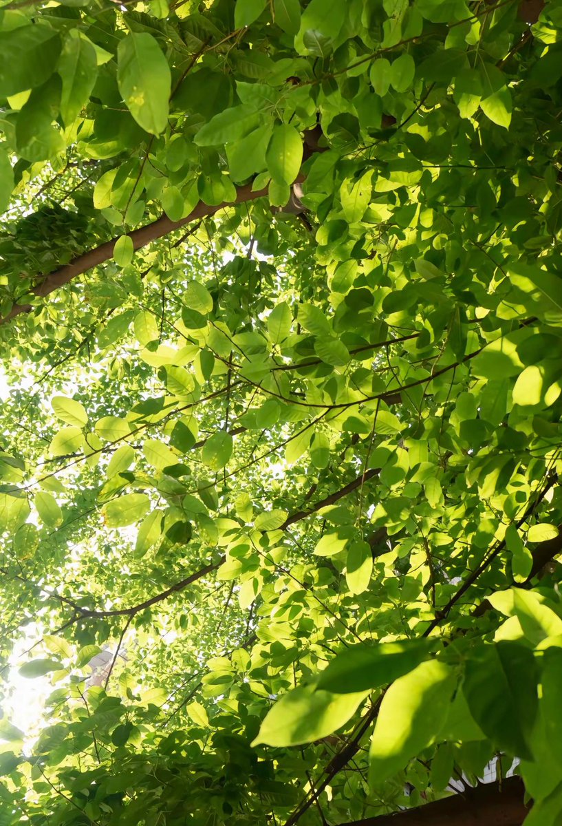 RubenHentze's tweet photo. 完全にコードが動いたと思ったら謎のバグ。この虚無感、どうしてこうも綺麗に積み重なるのかね。結局は自分の書いたコードに裏切られる日々に乾杯。 https://t.co/3DyK2WA0tm