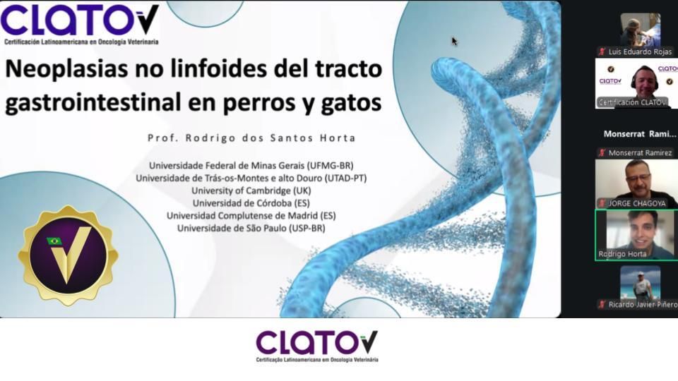 CLATOVok's tweet photo. Continuamos con las NEOPLASIAS GASTROINTESTIANLES NO LINFOIDES https://t.co/EXmEaa1F09