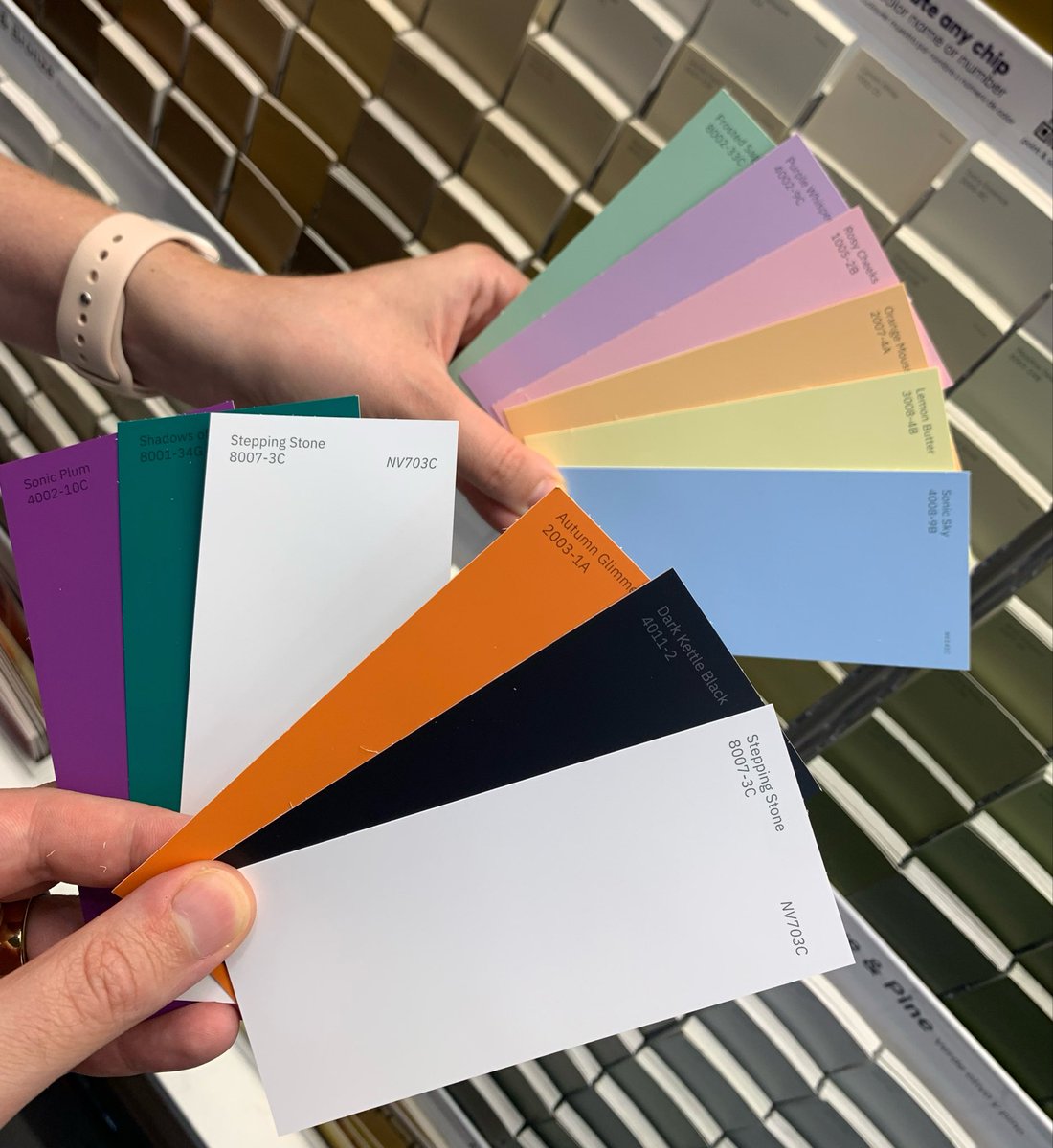 anaheim_calling's tweet photo. Currently fighting over wedding colors https://t.co/zEA9SOd49g