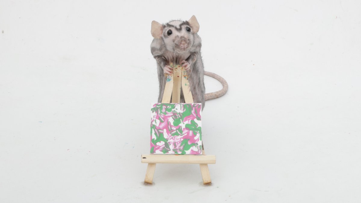 Rattrixs's tweet photo. This week’s paw paintings by my sweet rats Cracker and Chickpea - they and all their buddies did an amazing job!
.
If you would like to commission your own rat paw painting, you can do so here: https://t.co/TK4iHtwQv9 https://t.co/zjRB8BUcjj