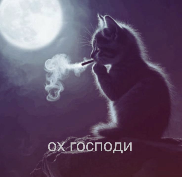 a_stra_a's tweet photo. Я наконец то определилась с образом на 1 сентября. Чудо свершилось https://t.co/MGqENSTgyd