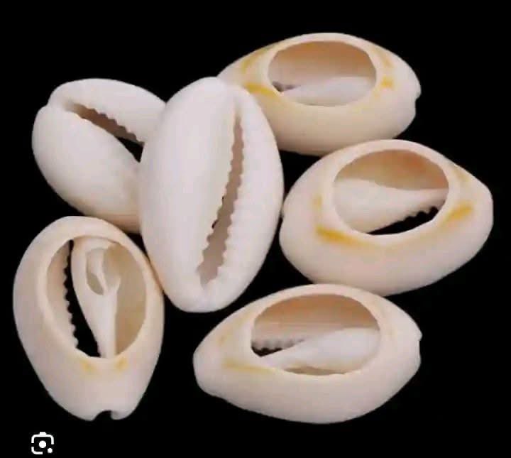 ThaOracleOfAges's tweet photo. #FOR__MISSING__PERSON

If a person has been missing for a long time and you don’t know where they are, or you think they may have died, and you want news about them

This is an ancient secret;

PROCESS;

Take one cowrie shell and a large piece of shea butter https://t.co/u5KpHmkJtn