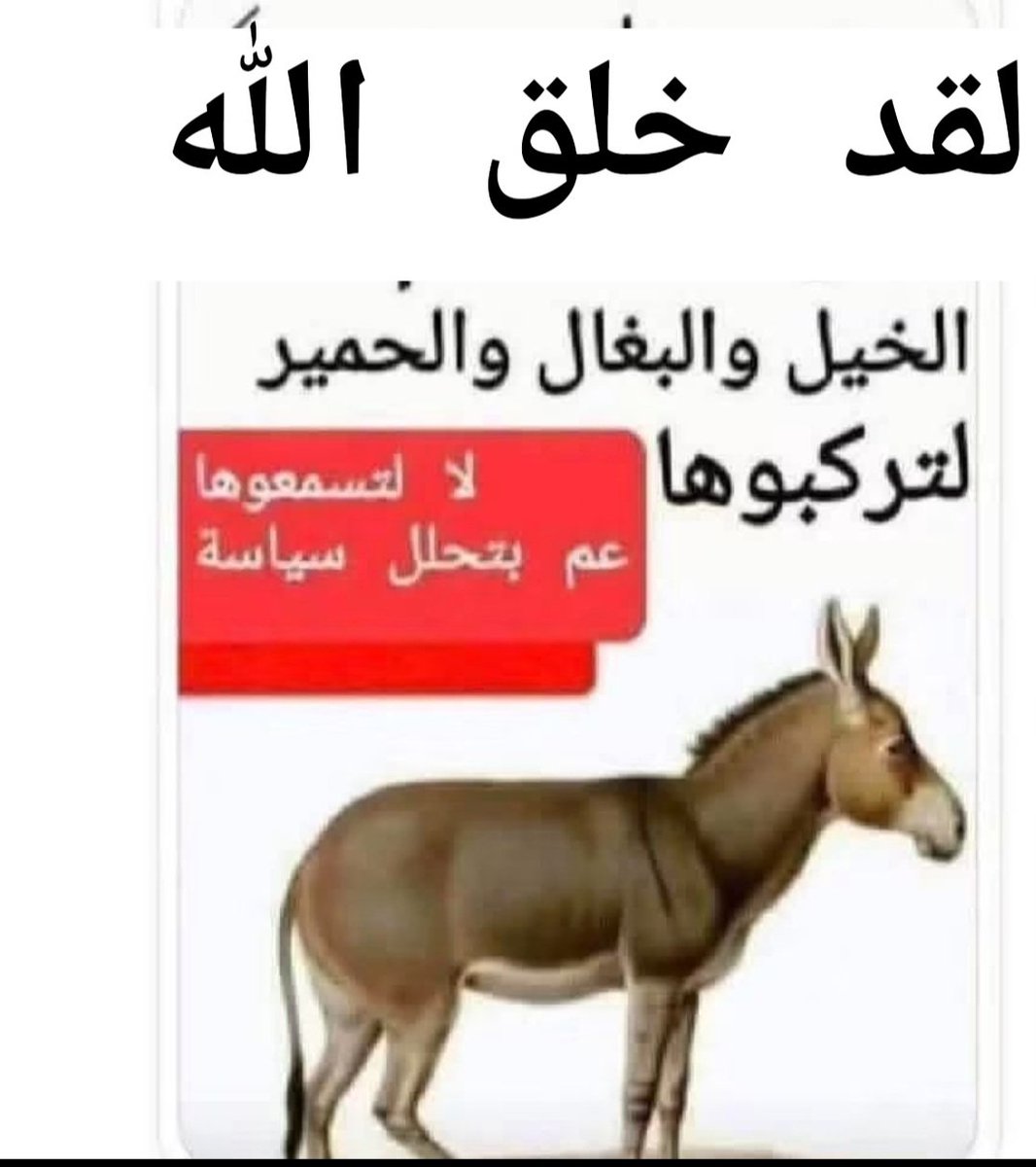 MoustafaAl97346's tweet photo. @mohamadyeser4 https://t.co/v1qwpkH6Hu