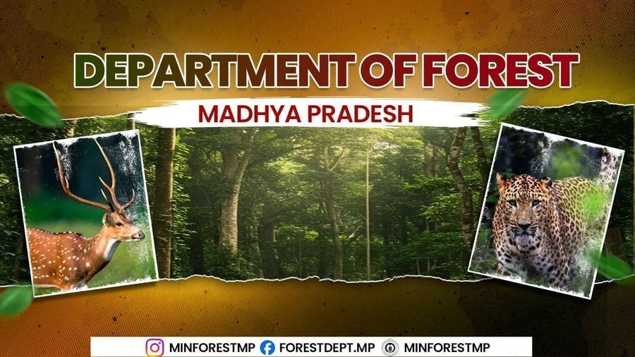 minforestmp's tweet photo. मुख्यमंत्री डॉ. मोहन यादव का वन विभाग के पदोन्नत शासकीय सेवक करेंगे आभार व्यक्त

भारतीय वन प्रबंधन संस्थान में 24 अगस्त को होगा आभार समारोह

RM : https://t.co/wglXqkmaGp

@DrMohanYadav51 @CMMadhyaPradesh https://t.co/614Vn4477Q