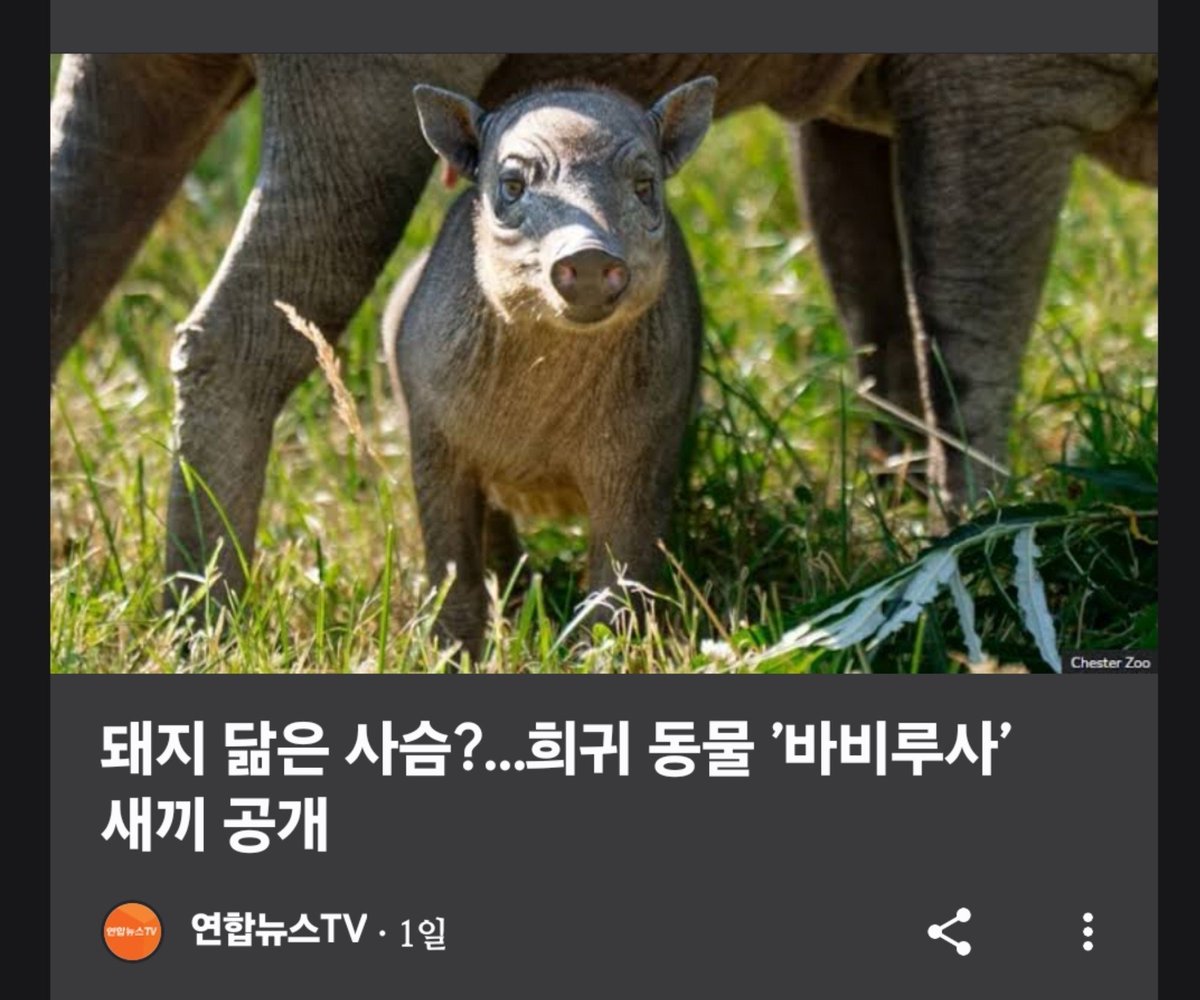 MainTRPG's tweet photo. 뭐...
멧슴 토감하라고? https://t.co/is7qgwwLtd
