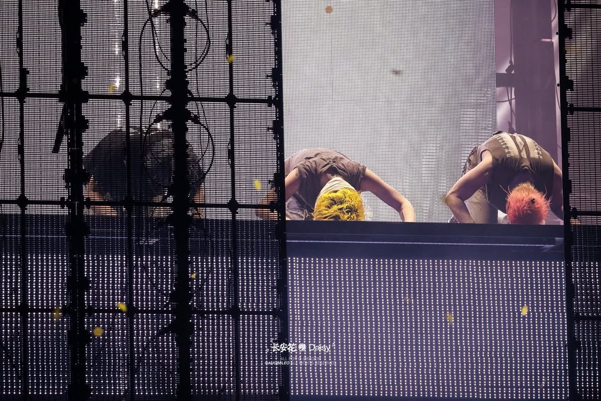 jiyongvamp's tweet photo. the most important image ever 🥹💛👑 https://t.co/fZz6R6cBxw