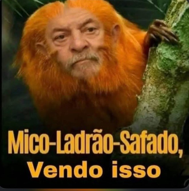 Felipepale13's tweet photo. @xicosa https://t.co/UGLf6p6Ue7