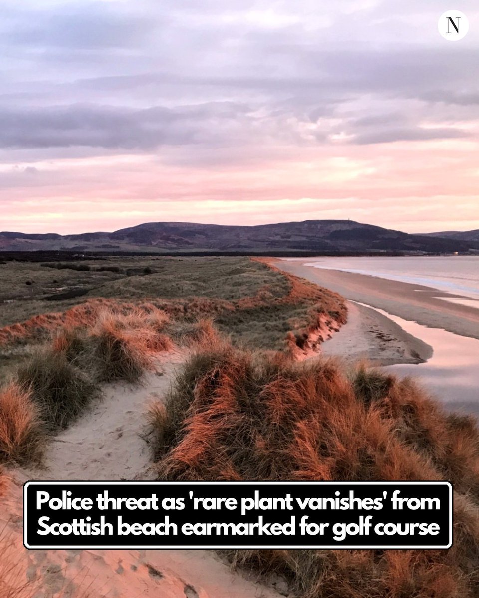 ScotNational tweet picture