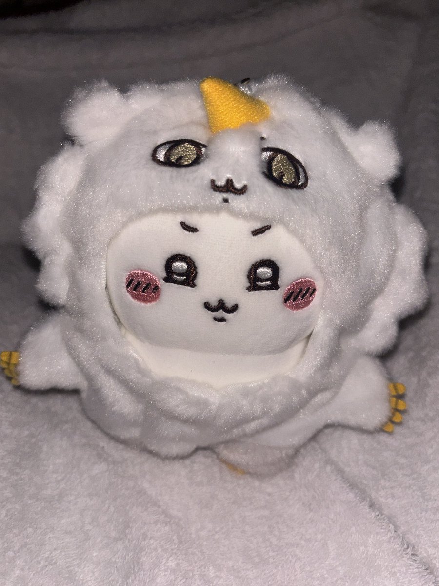 minchana96's tweet photo. 我が家はムン顔ちいに着せてる！
あのこの着ぐるみ以外にもかわいい着ぐるみあったし買う時はめちゃくちゃ迷った〜
ちいかわパークのベストバイだとおもう！ https://t.co/m9uW6yBJCL