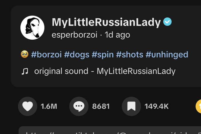 roshii's tweet photo. WAIT THIS IS ACC GOOD 

New dog meme just dropped on tiktok 

1.6M likes in just ONE day and 5.6M views: https://t.co/DKzzjN1hXJ

Everyone in comments memeng it

I remember we previously had spinning gorilla and spinning cat running both to millions 

PinkSpinningShootingDog500 (same breed as loong dog) 

$ORA (normie ticker lol)