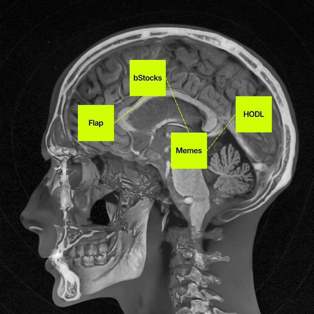 flapdotsh's tweet photo. avg flap user’s mind 24/7 https://t.co/owDJKD5zH2