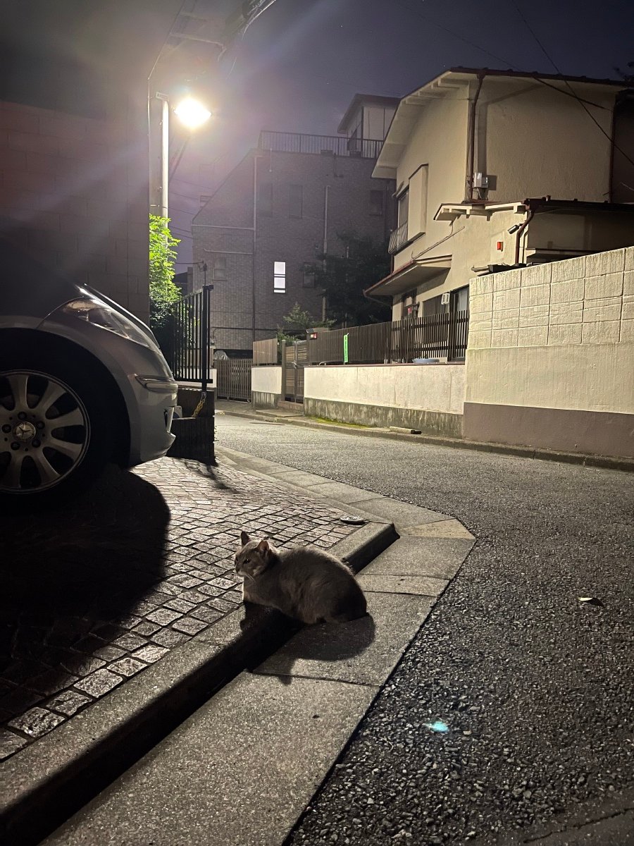 k51yoq's tweet photo. Calle tranquila al atardecer, con un gato negro cruzando lento y farolas encendidas poco a poco.， https://t.co/LcHYsnvO14