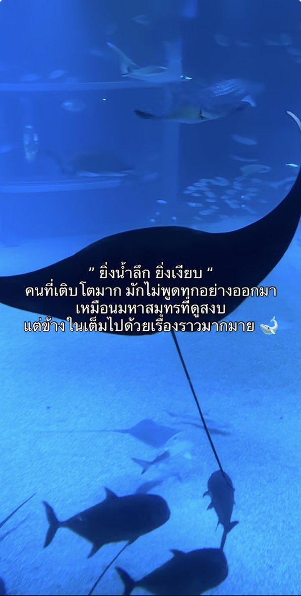 eqnrzz's tweet photo. https://t.co/1fTdVRgmi7