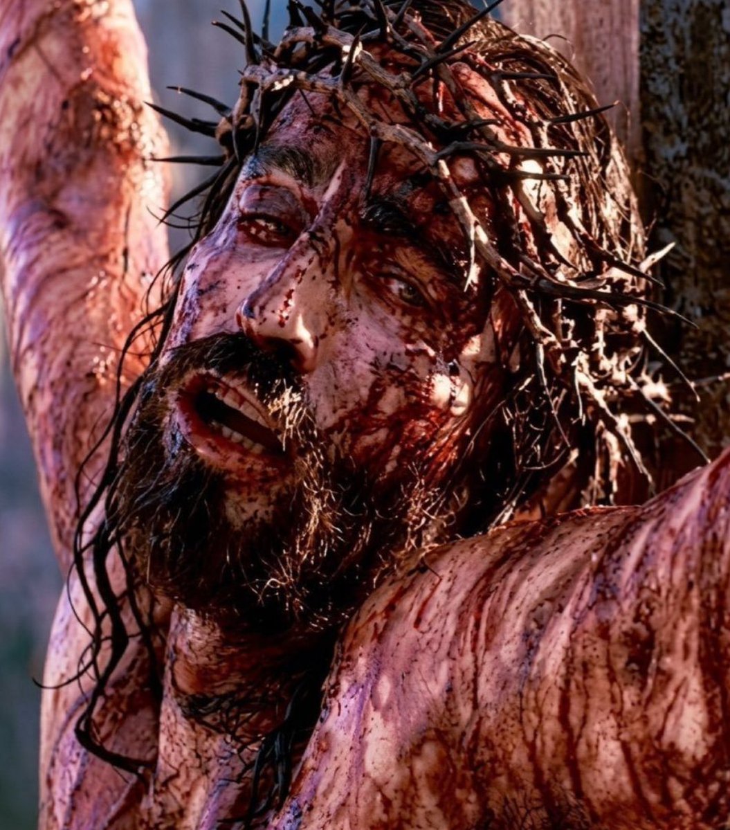 messages92's tweet photo. Thank you jesus Christ for everything https://t.co/99i5p156tE