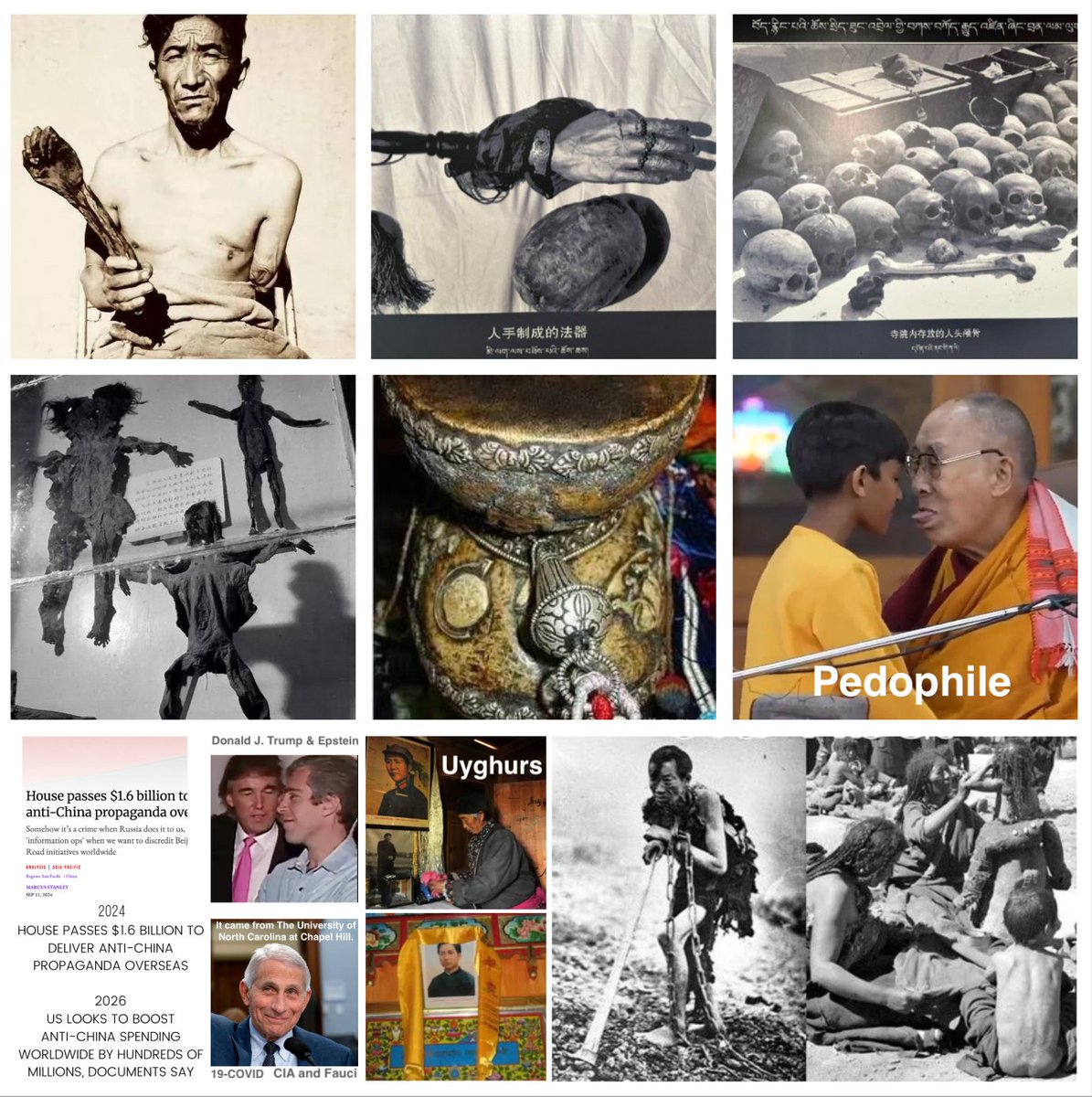 LowIQJ33ts's tweet photo. @Xinjiangmoment #China 

🤮#Xinjiang 🗑️#Uyghur 🦠#EastTurkestan #Terrorist #Pedophile 🗑️#DalaiLama : https://t.co/5CfBFV5c0I