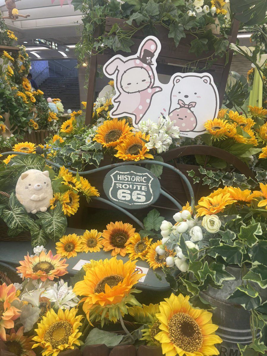 nasanex's tweet photo. ひまわりたくさん⊂((・x・))⊃🌻 https://t.co/4oRNrhIHX8