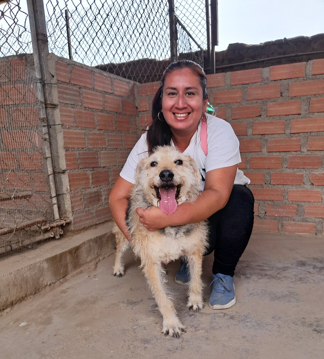 Peluadopres's tweet photo. Amigos por favor estoy haciendo una rifa de 100 números s S/.10 c/u necesito venderlos lo antes posible.
El PREMIO es S/.100 efectivo 
Ayúdame por favor 🙏🏻 
Puedes adquirir 1 o más números desde hoy GRACIAS 🙏🏻
YAPE/PLIN: 948302713 
A nombre de Karolina Rodríguez https://t.co/j5tjleKJBB