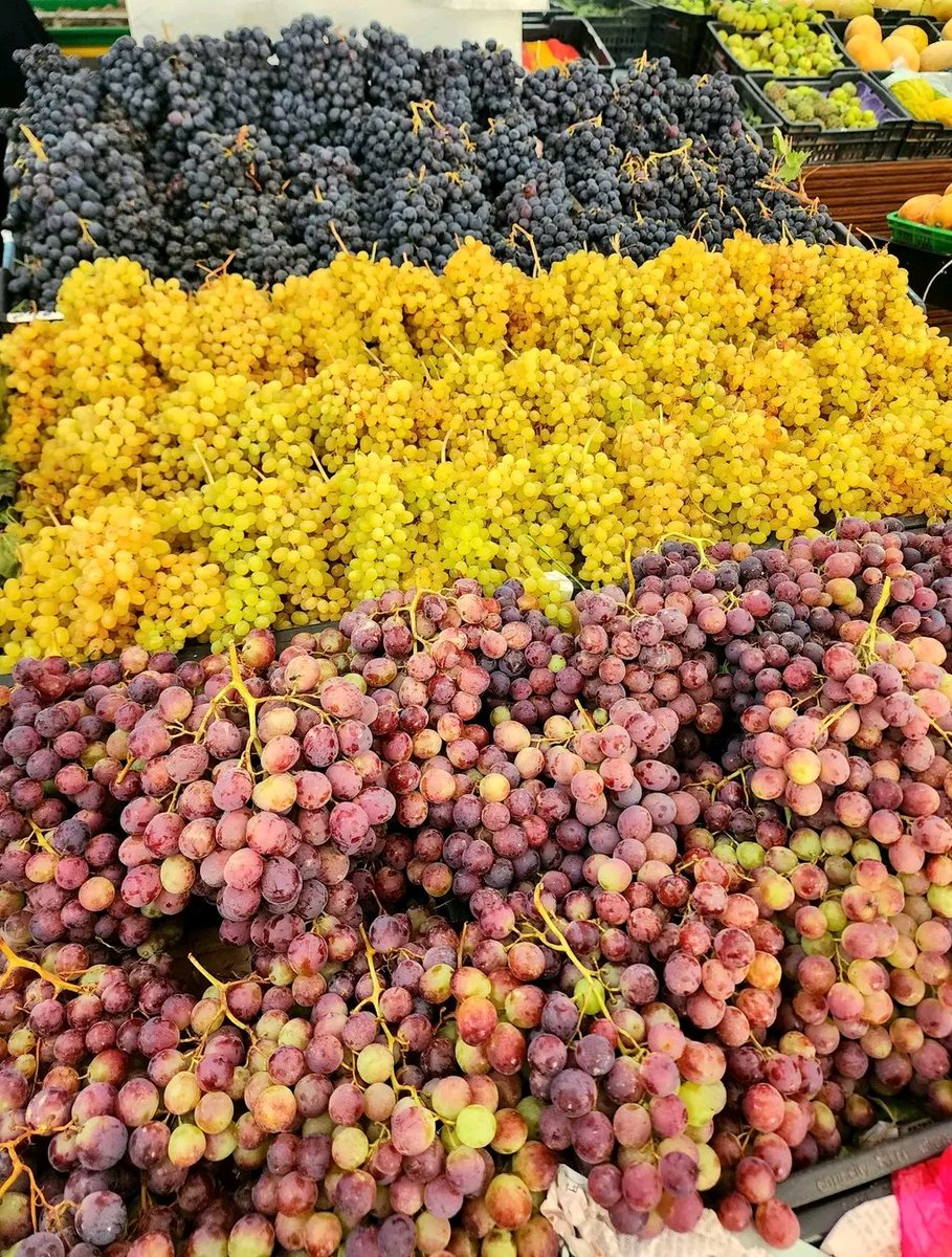 TNT_Media1's tweet photo. خيرات اليمن..  🍇🍇🍇🍎🍏🍐🍓🍅 https://t.co/wmzbA5JN5f