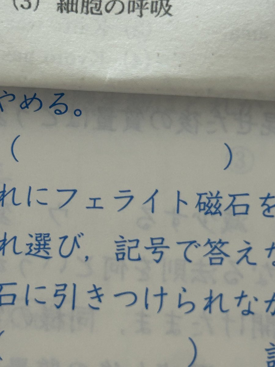 o__9t_'s tweet photo. ふぇら！ふぇら！ https://t.co/8ykt5wluKb