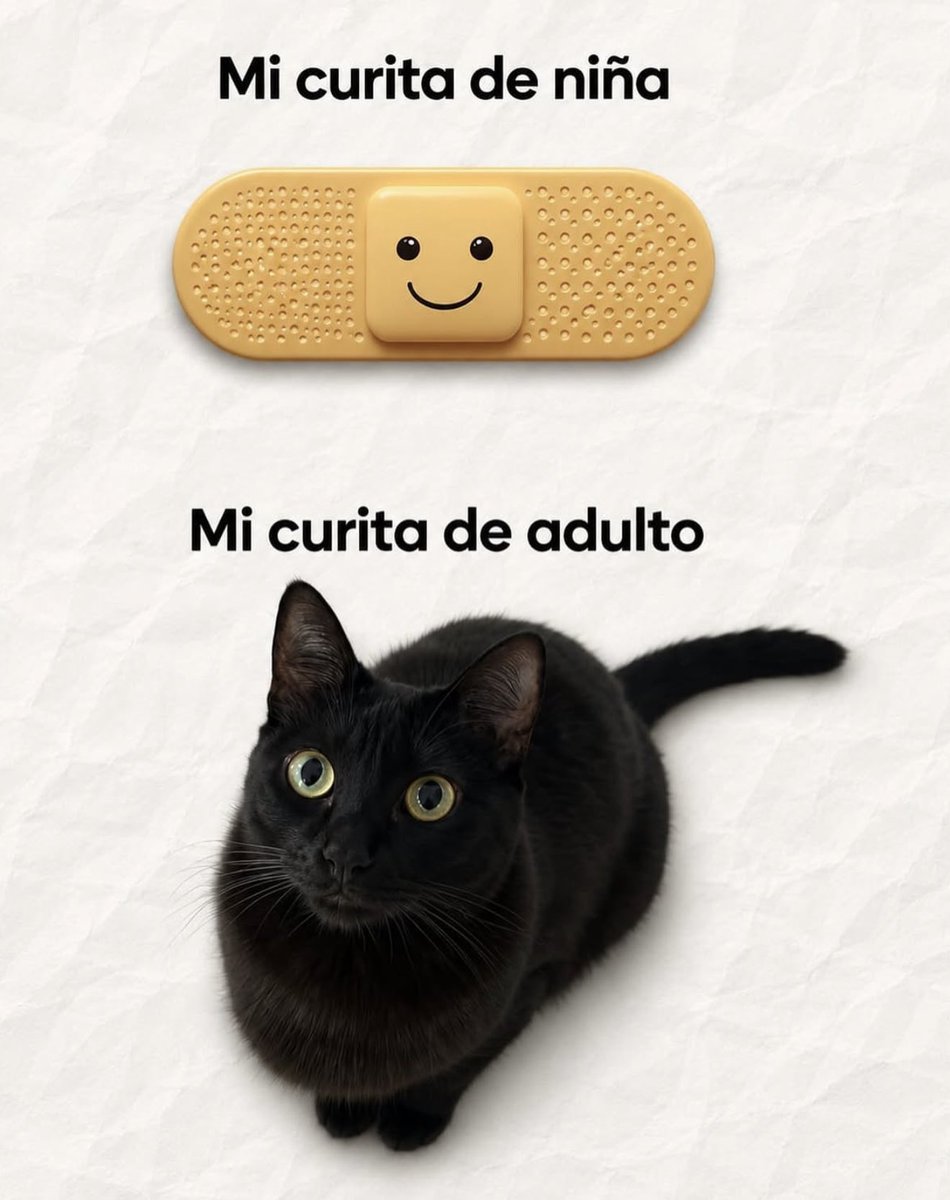 evelyncarmona's tweet photo. https://t.co/6ZHyPl0TIJ