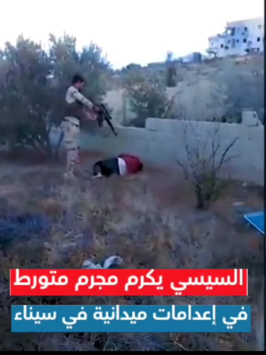 p71qdmm's tweet photo. @f3kvfn @6ivuy سيدك المفدى طار وبقي السيسي عم ينطط على امك هو والعسكر https://t.co/He2ergM7IT