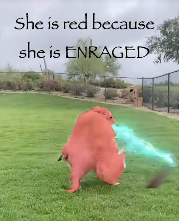 devonsol123's tweet photo. It seems like the Esper account has a theme of posting it in different colors, and it spins around and shoots in most of them, we could send ColorfulSpinningShootingDog500 as the PVE runner for this

Its so fucking good, its literally the colorful dog https://t.co/A8e5T4cago
