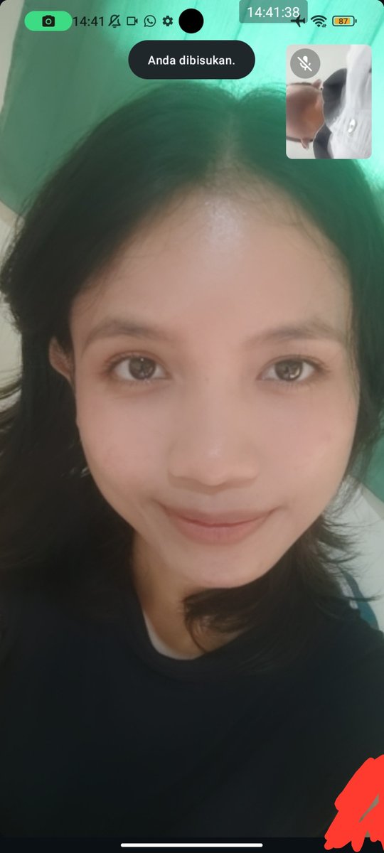 PinkAdudu's tweet photo. Lama ga update, dh ada calon aja🙈 https://t.co/0Wsq0GboV4