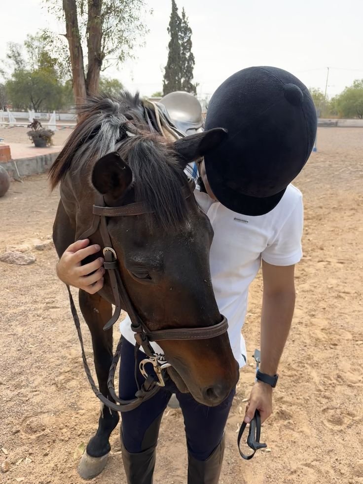 soullssh's tweet photo. indo ali ver o hec saltar de cavalo https://t.co/HhAhQeyoCv