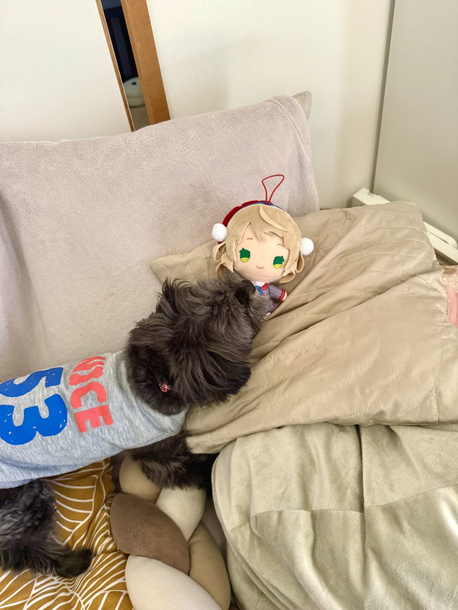 MiZ_Si's tweet photo. 53ですが、しぐれういを倒してしぐれういになります #俺がしぐれういだ https://t.co/e1vaDmsKOC