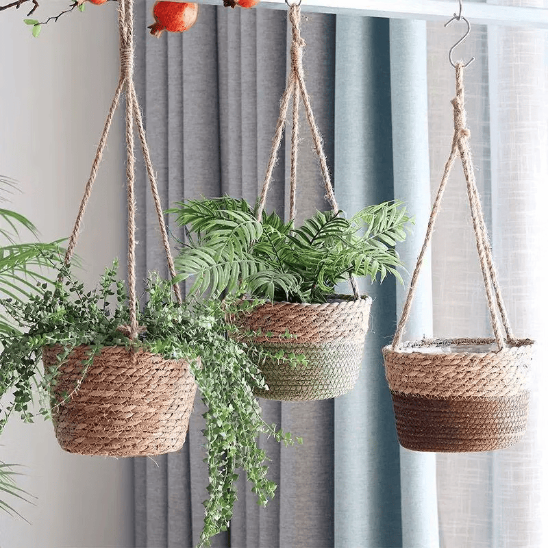 FaithLegario's tweet photo. Just finished this hand-painted macramé plant hanger for my new pothos—love how the soft cotton knots match my home’s warm vibe!  Handmade stuff = the best kind of coziness.， https://t.co/hFSoDgDEr2
