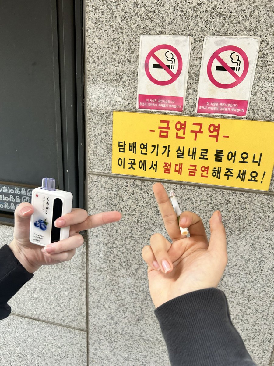 slicedabagel's tweet photo. #promotwt #moothunt #shedtwt #nictwt #obslovetwt day 3
plz be friends w me im lonely i need someone to obsess over https://t.co/ibjvyCV3uv