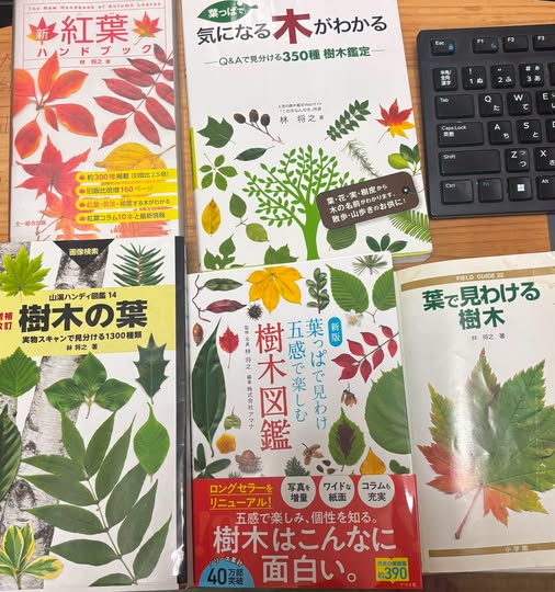 yanokuchi33's tweet photo. 林将之氏の新しい本を買いました。里山散歩には必須の本です。
https://t.co/h7hFC9er9z
樹木図鑑作家・編集デザイナー・環境ジャーナリスト
このきなんのき研究所所長。
①葉っぱで見わけ五感で楽しむ 樹木図鑑
『葉で見わける樹木』など5冊目になりました。 https://t.co/qlu6CRIa4l