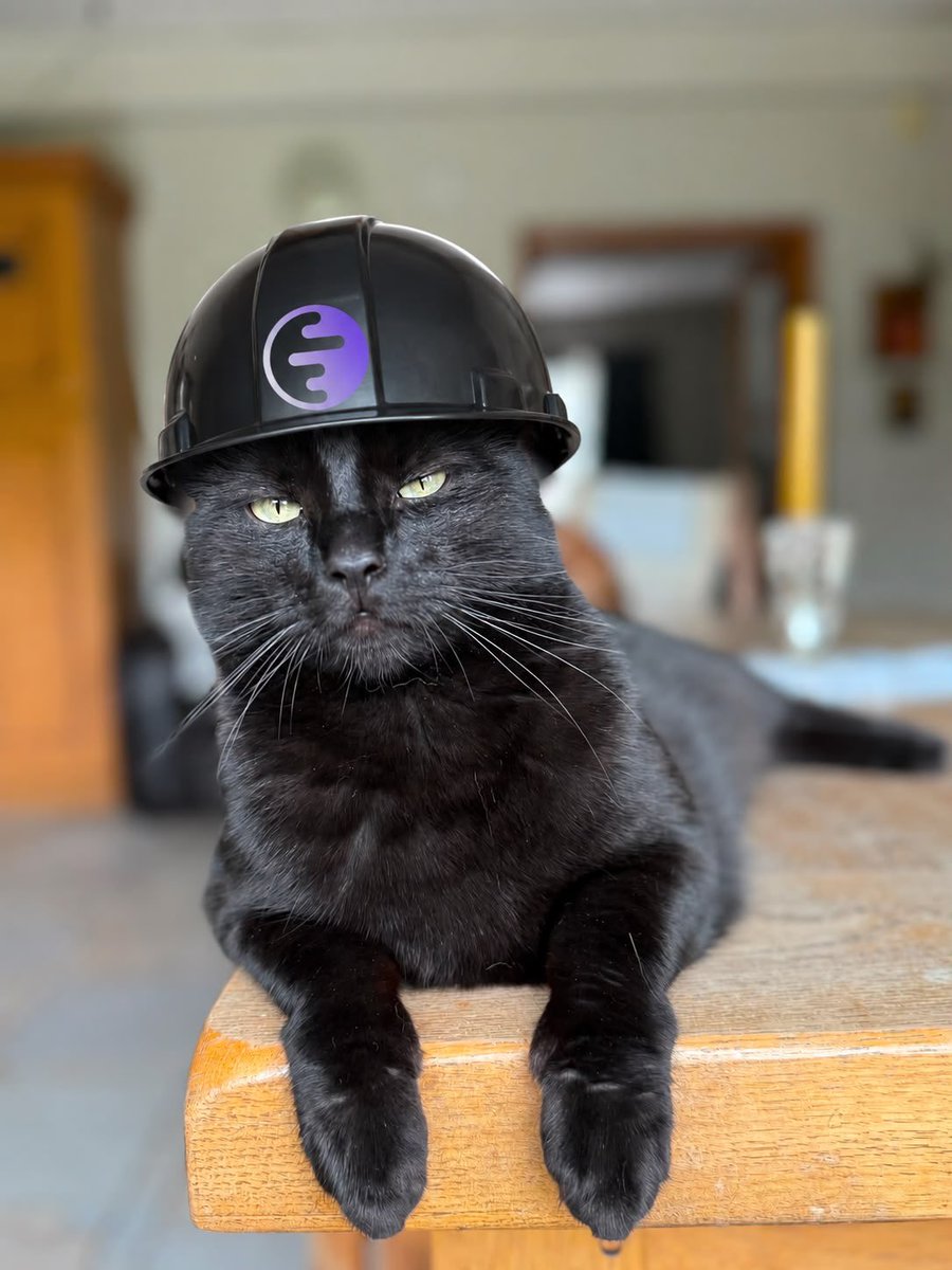 ggthekin's tweet photo. INKCAT IS MOVING!!!! https://t.co/KAiflWv5Ti