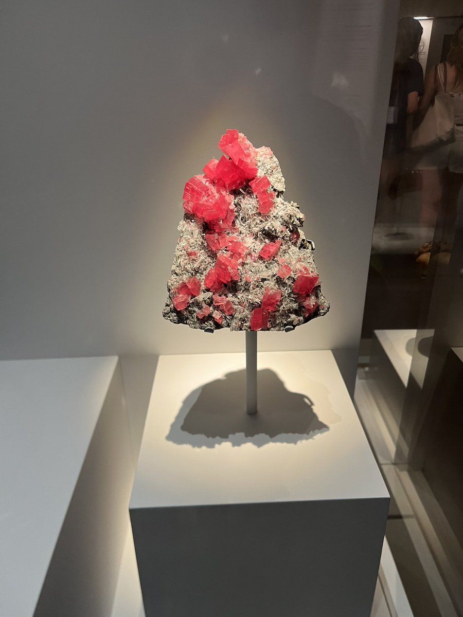 ShiroMineral's tweet photo. ロンドン自然史博物館！
たくさん石を見れた‼️‼️
有名なだけあってクオリティが…✨👀 https://t.co/AyLmhFf4XV