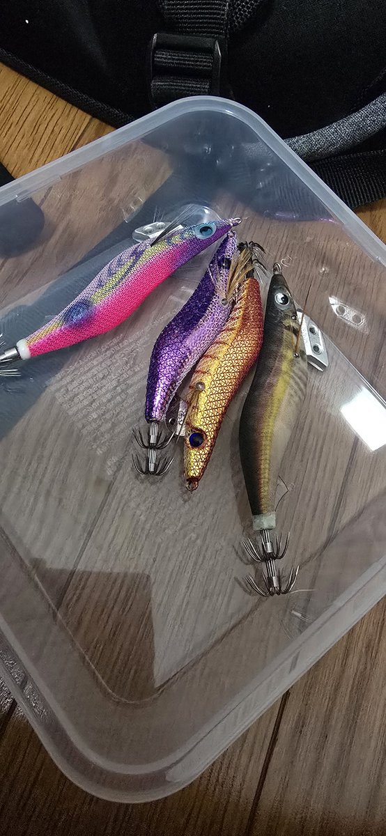 mikeneko0829's tweet photo. 釣りを初めて1ヶ月
先月イカメタルセット揃えたのに今月はエギングセットを揃えてしまった
非常によくない流れ https://t.co/xkVUq1URpT