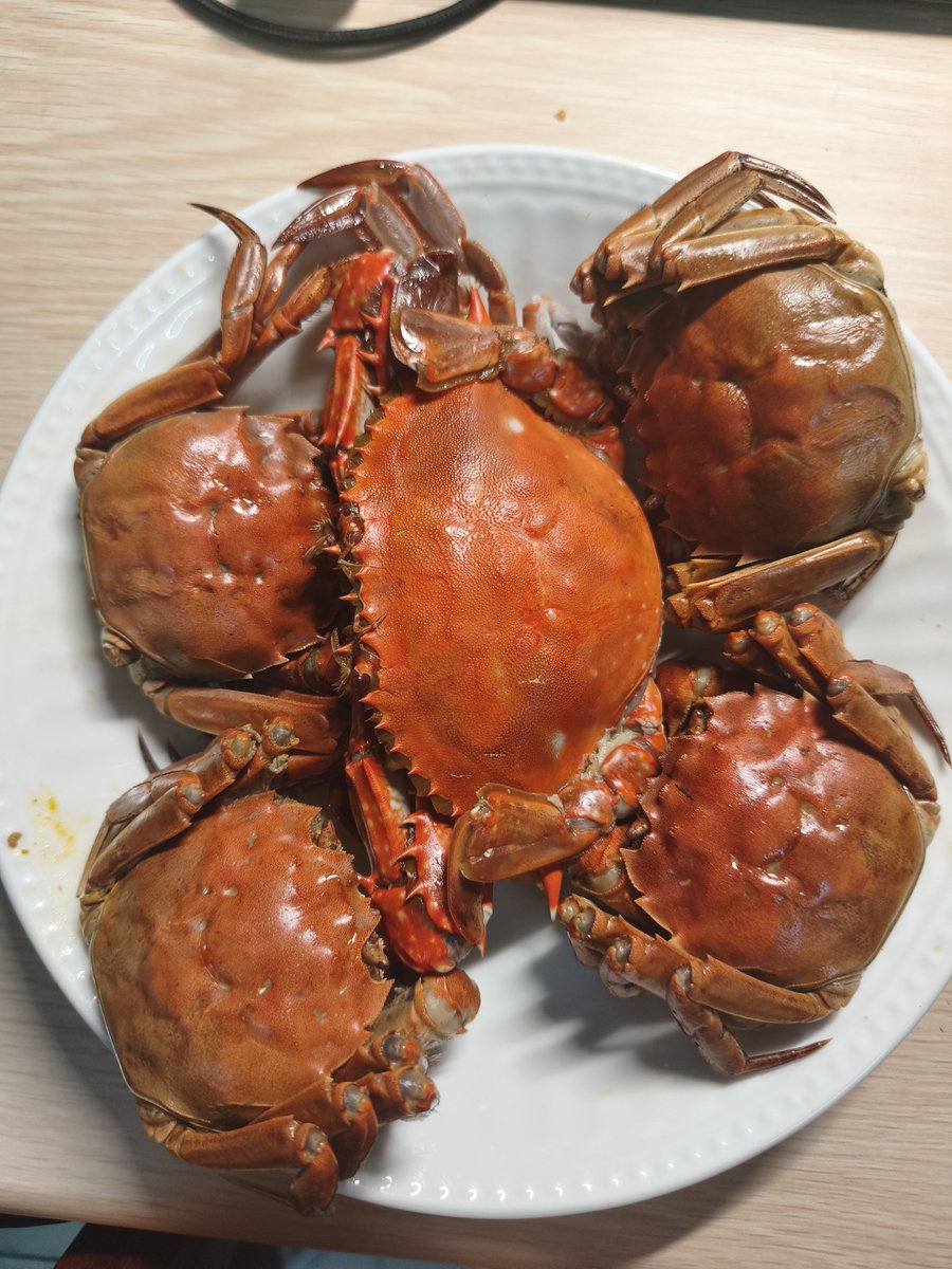 AnScheidem55476's tweet photo. 还是梭子蟹好吃😋 https://t.co/WMIQFnlDsW
