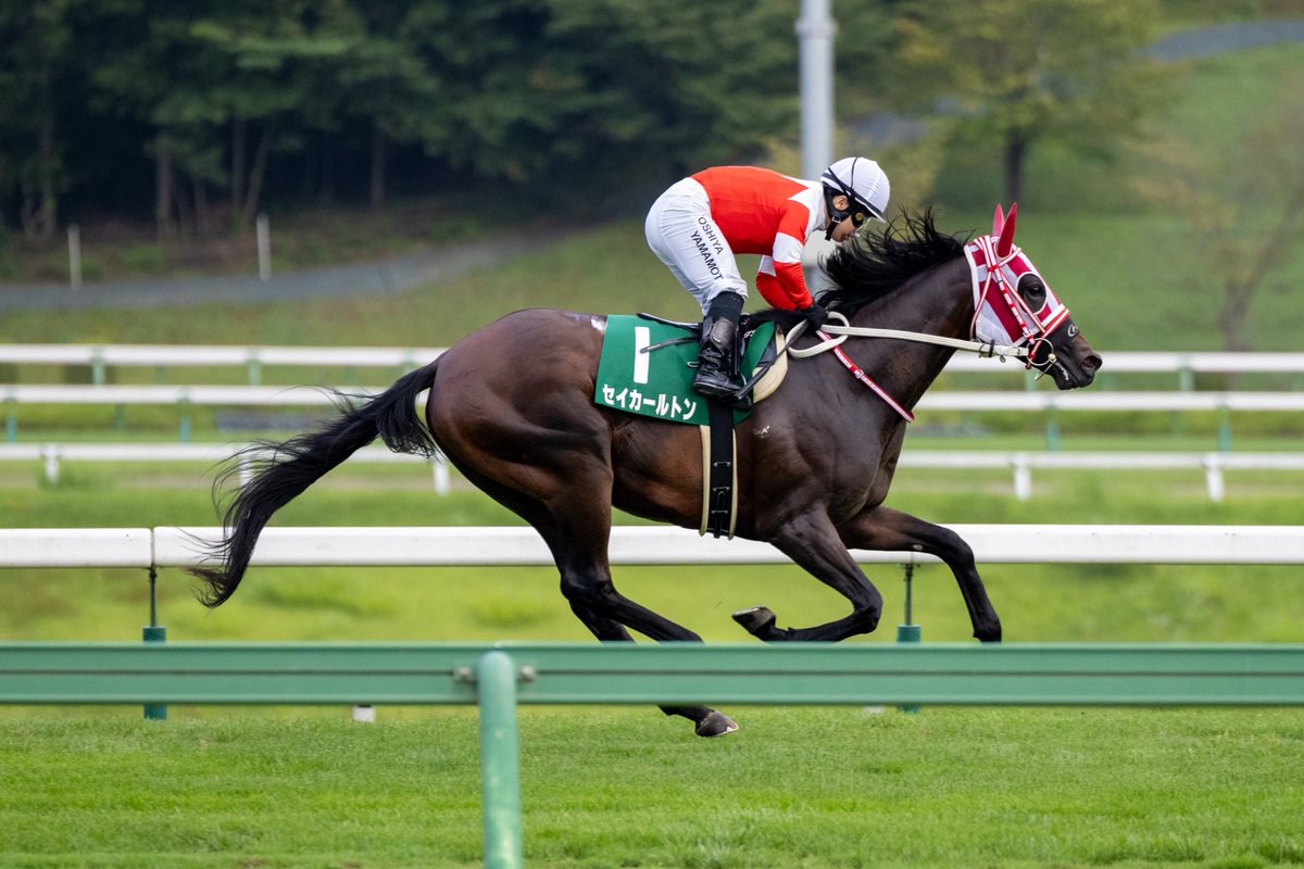 WateUmai's tweet photo. おめでとうございます🐎💨🏆
 #セイカールトン
 #山本聡哉騎手
 #ジュニアグランプリ
 #岩手競馬 https://t.co/htewI0VDyz