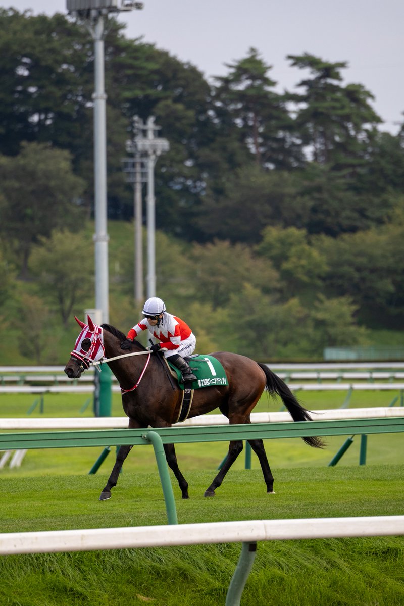 WateUmai's tweet photo. おめでとうございます🐎💨🏆
 #セイカールトン
 #山本聡哉騎手
 #ジュニアグランプリ
 #岩手競馬 https://t.co/htewI0VDyz