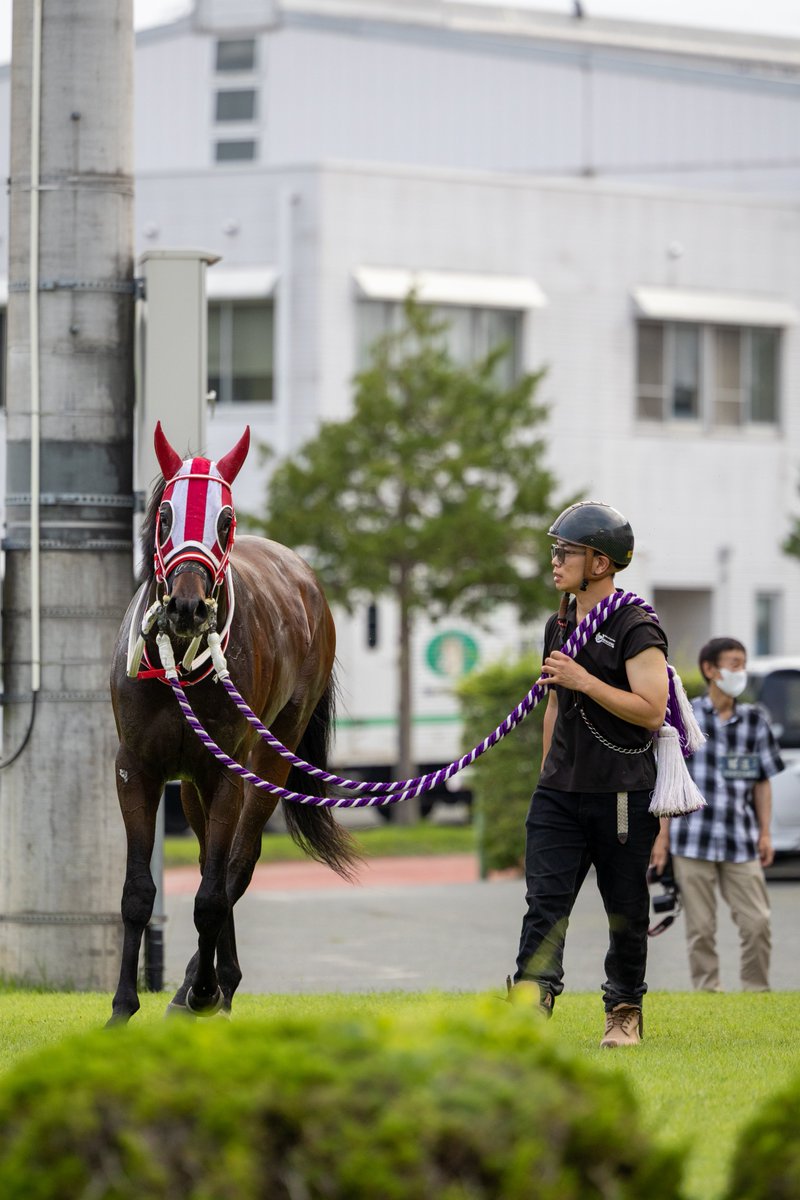 WateUmai's tweet photo. おめでとうございます🐎💨🏆
 #セイカールトン
 #山本聡哉騎手
 #ジュニアグランプリ
 #岩手競馬 https://t.co/htewI0VDyz