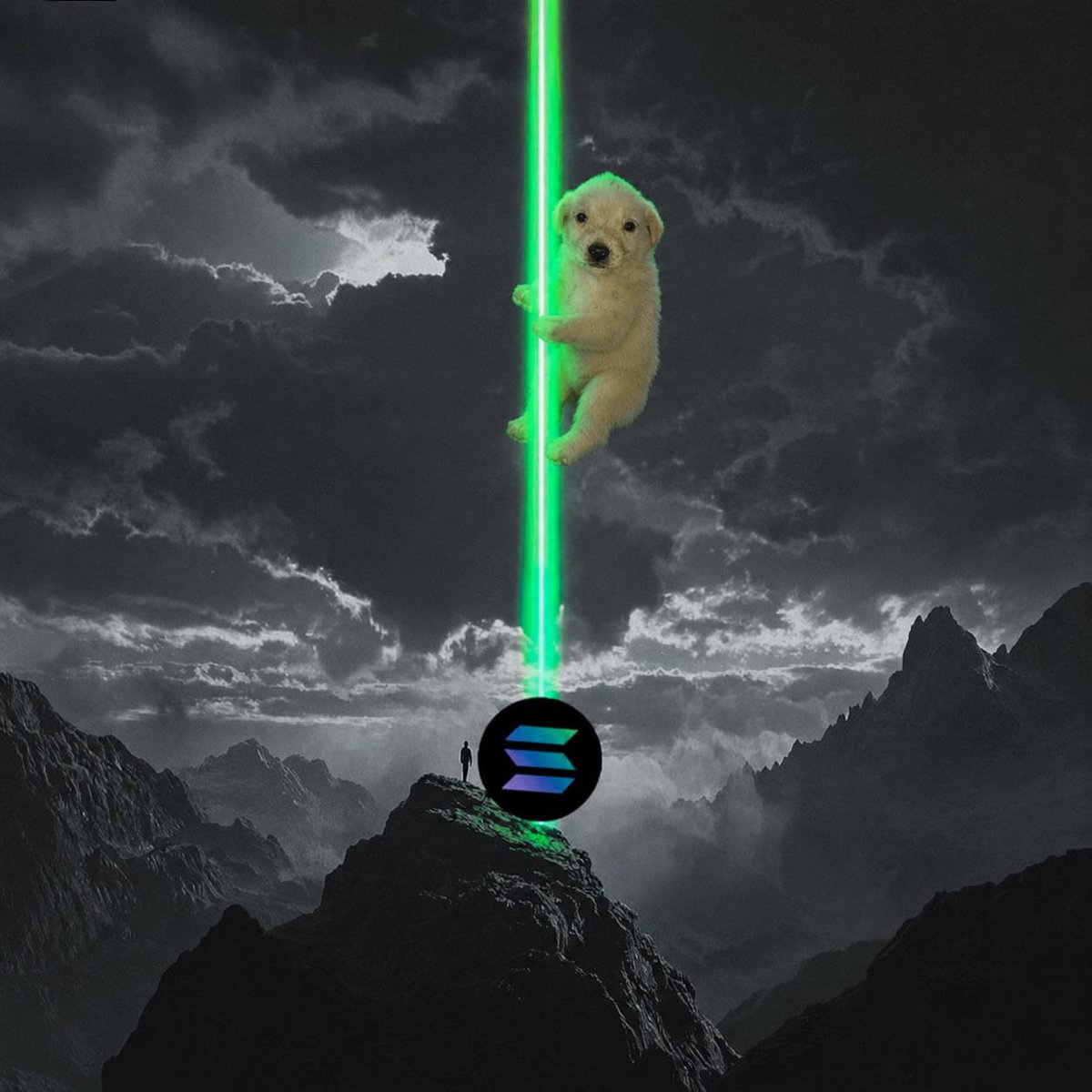 JotchuaTheMeme's tweet photo. @solana looks good here https://t.co/ethFFk0n50