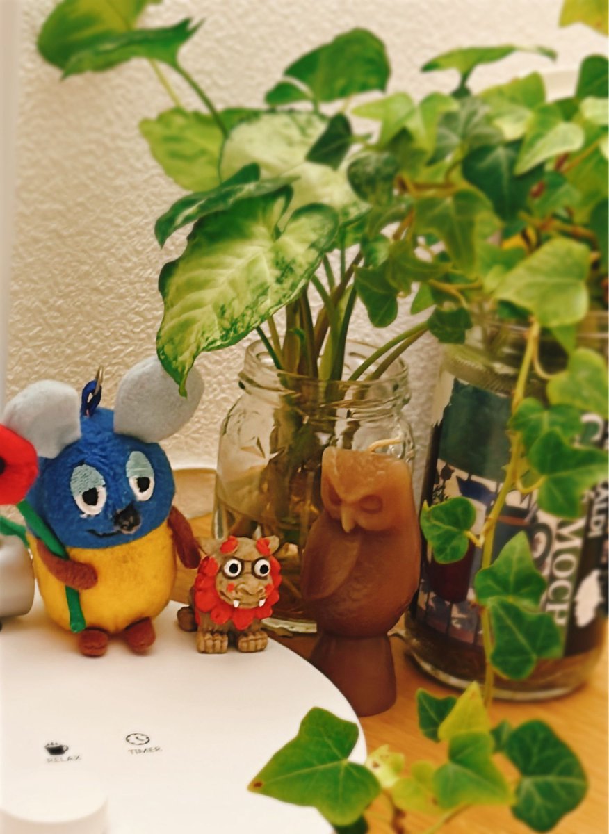 krkrknrgk's tweet photo. かわいい https://t.co/bN7gKV4N77