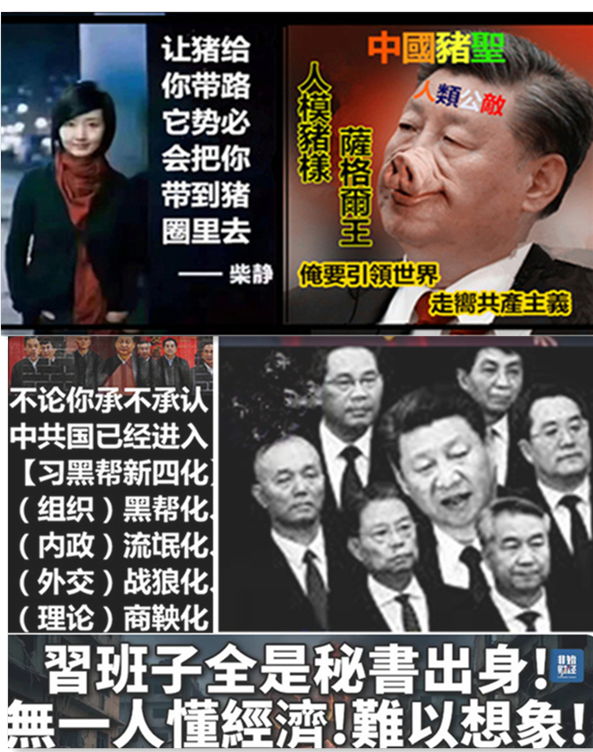 xin2179's tweet photo. 蠢猪治国———民族悲哀！ https://t.co/eNADdSlHf1