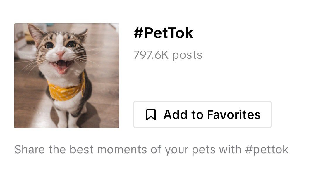 0gdev17's tweet photo. Today is INTERNATIONAL HASHTAG DAY. 

everyone recently has been talking about "the great onboarding" on tiktok and the perfect runner would be to run "#PetTok" on tiktok   

when you search #PetTok and #CatTok u get this picture of cat ...  

This is Genny we are already in Cat meta and on TikTok the top trending hashtags 

#PetTok also got a cat ticker

https://t.co/DJ8I7JaDhr