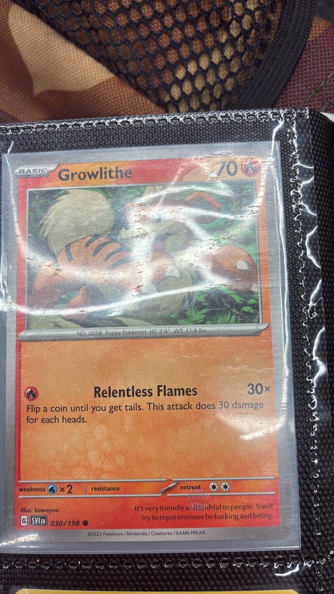 chemkid94's tweet photo. Second ever card show was a success picked up 7 new cards for the Growlithe binder! #pokemon #pokemontcg #locallegendscardshow #growlithe https://t.co/QctK0BMIZH
