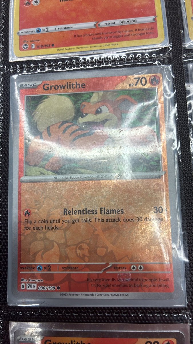 chemkid94's tweet photo. Second ever card show was a success picked up 7 new cards for the Growlithe binder! #pokemon #pokemontcg #locallegendscardshow #growlithe https://t.co/QctK0BMIZH