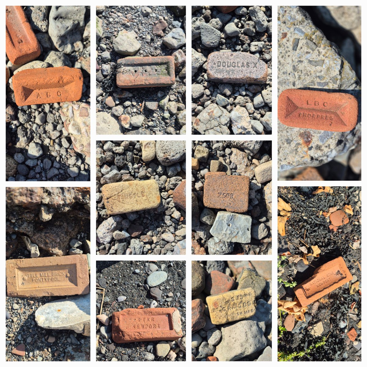 Kittylitterpic1's tweet photo. Out with CRG today at Splott Beach which isn't a traditional beach. Quite a strong smell here and lots of bricks! Check out Cardiff Rivers Group fb or Instagram page later for full details of how we got on. Always lovely to bump into old friends. #splottbeach #splottbeachbricks https://t.co/liIjWqAL1a