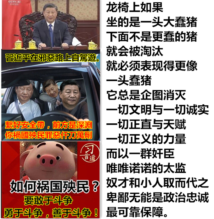xin2179's tweet photo. 蠢猪治国———民族悲哀！ https://t.co/eNADdSlHf1